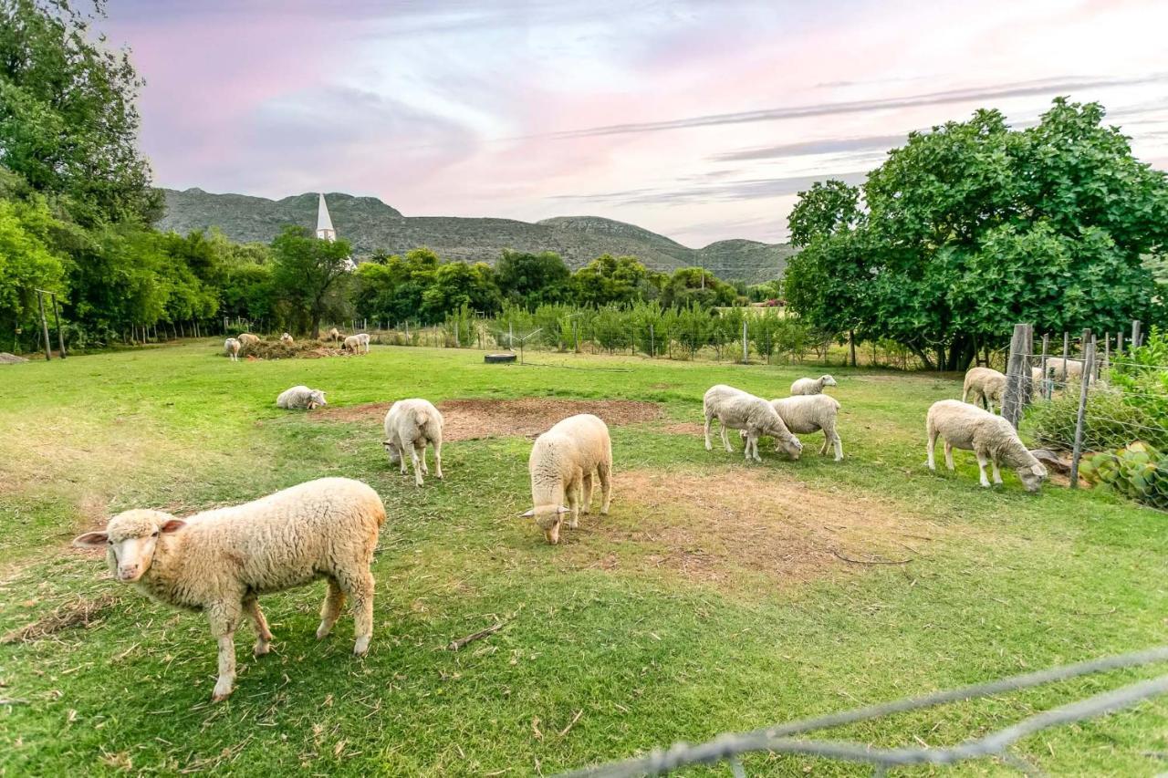 Die Fonteine Country Guesthouse And Glamping Oudtshoorn Extérieur photo