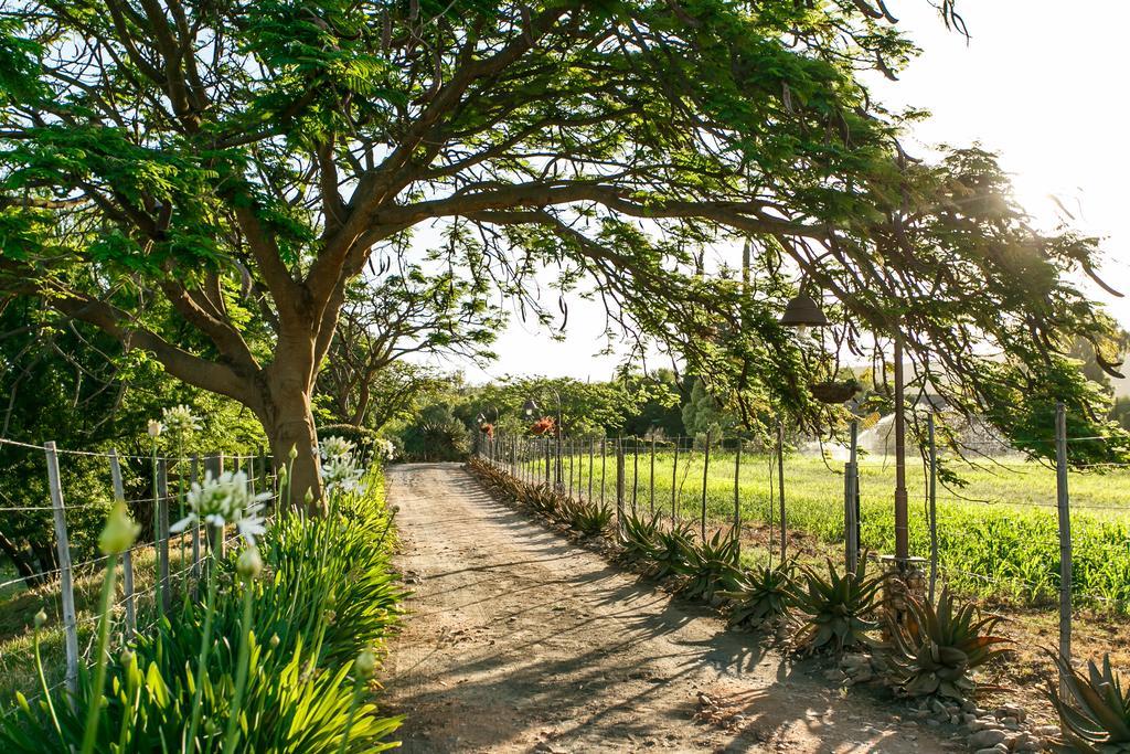 Die Fonteine Country Guesthouse And Glamping Oudtshoorn Extérieur photo