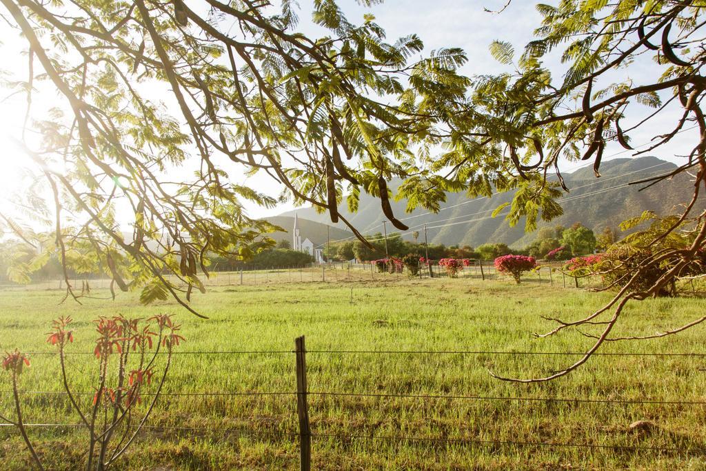 Die Fonteine Country Guesthouse And Glamping Oudtshoorn Extérieur photo